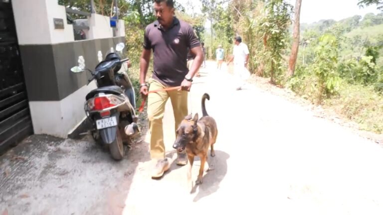 മാറനല്ലൂരില്‍ വീട്ടുകാര്‍ പുറത്ത് പോയ തക്കം നോക്കി 10 പവന്‍ കള്ളന്‍ കൊണ്ടുപോയി
