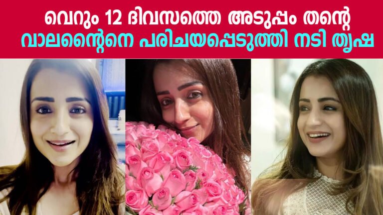 വെറും 12 ദിവസത്തെ അടുപ്പം തന്റെവാലന്റൈനെ പരിചയപ്പെടുത്തി നടി തൃഷ