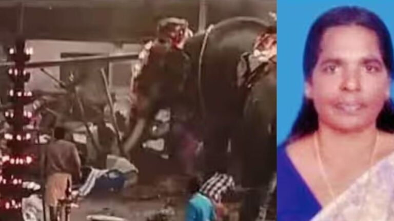കൊയിലാണ്ടിയിൽ ആനയുടെ ചവിട്ടേറ്റുമരിച്ച ലീലയുടെ സ്വർണാഭരണങ്ങൾ കാണാനില്ലെന്ന് പരാതി