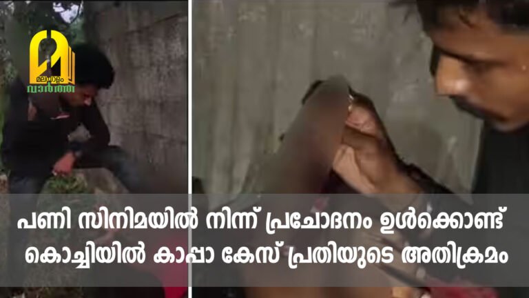 പണി സിനിമയിൽ നിന്ന് പ്രചോദനം ഉൾക്കൊണ്ട് കൊച്ചിയിൽ കാപ്പാ കേസ് പ്രതിയുടെ അതിക്രമം