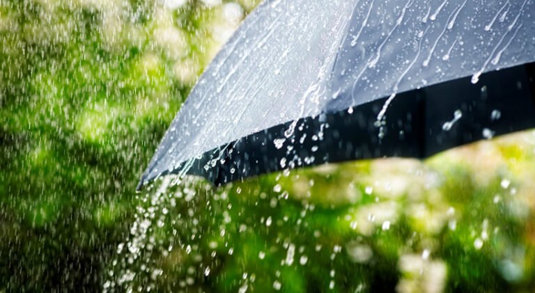 അടുത്ത മൂന്നു മണിക്കൂറിനുള്ളിൽ അതിശക്തമായ മഴ; 9 ജില്ലകളിൽ ഓറഞ്ച് അലേർട്ട്