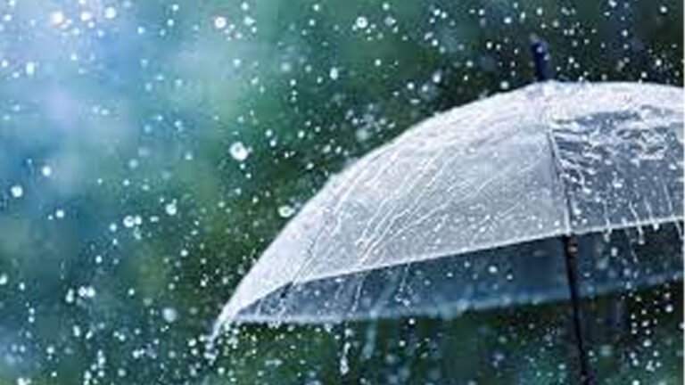 സംസ്ഥാനത്ത് അതിശക്തമായ മഴയ്ക്ക് സാധ്യത; നാല് ജില്ലകളിൽ ഓറഞ്ച് അലർട്ട്