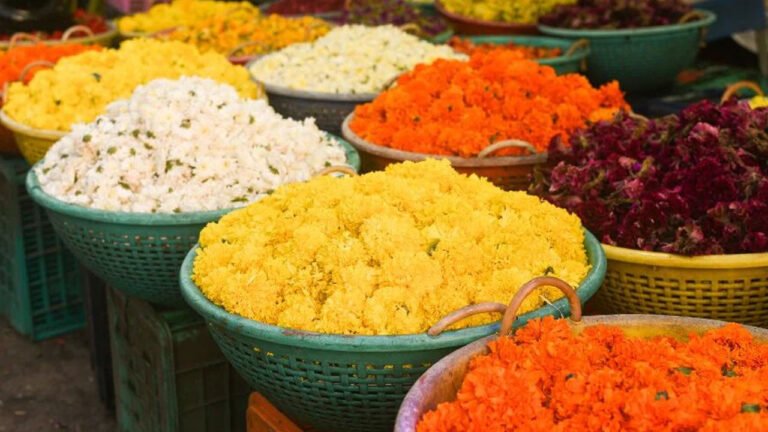 80000 രൂപയുടെ പദ്ധതി,ഓണപ്പൂക്കളം ഇത്തവണ കളറാകും
