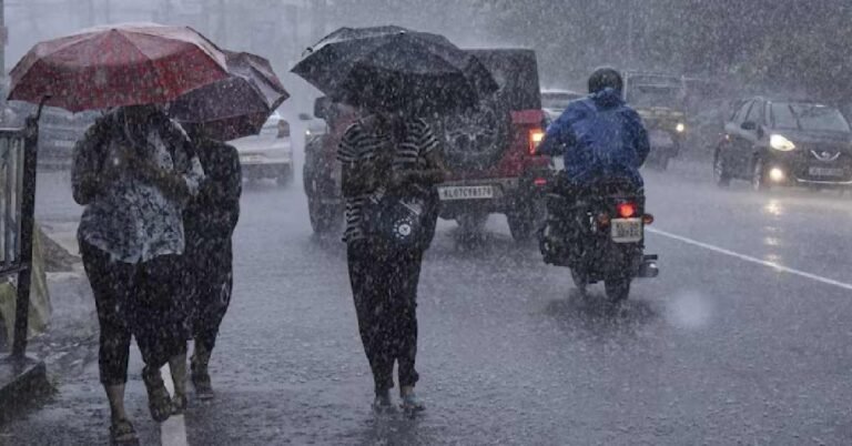 സംസ്ഥാനത്ത് കാലവർഷം വീണ്ടും ശക്തമായേക്കും; ഇന്ന് ഏഴ് ജില്ലകളിൽ യെല്ലോ അലേർട്ട്
